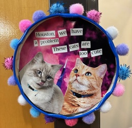 Collage Magnets