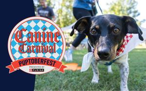 Canine Carnival