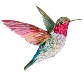Hummingbird Crafternoon