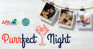 The Purrfect Night