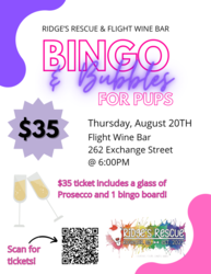 Bingo and Bubbles For Pups