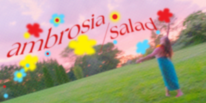 ambrosia/salad