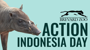 Action Indonesia Day