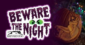 Beware the Night