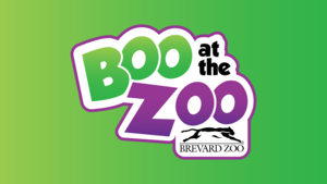 Boo at the Zoo