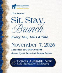 Sit.Stay.Brunch