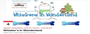 Whiskers In Wonderland