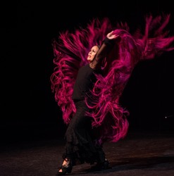 Casa Flamenca Summer Tablao Season Continues!