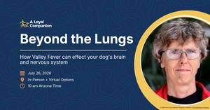 Beyond the Lungs: How Valley Fever can effect your dog’s brain and nervous system.
