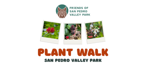 Plant Walk in San Pedro Valley Park – Hazelnut Trail – Moderate