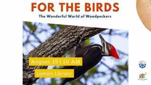 For The Birds: The Wonderful World Of Woodpeckers (In Partnership With Wild Birds Unlimited)