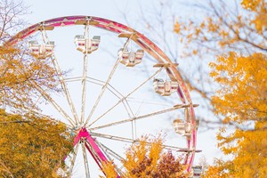 Fall Fest at Lincoln Park Zoo