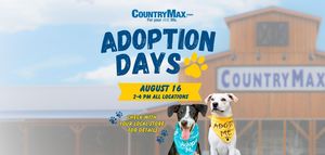CountryMax Adoption Days