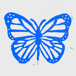 Nature Printmaking for Beginners
