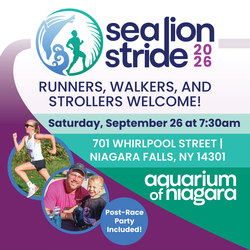Sea Lion Stride: 5K & 10K