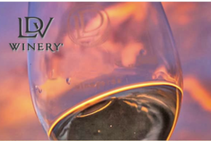LDV Winery Tasting Room Hosts Pink Party in Honor of New 2024 Rhylote Rosé Release JULY 26