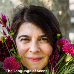 Crafted Conversations: The Language of Scent