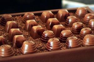Fall Holiday Chocolate Festival and Salon 2026