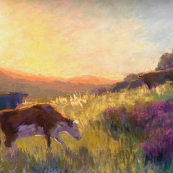 “Local Light” by Stacey Nussbaum