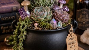 The Witch Release Party + Cauldron class at Magnolia Rose