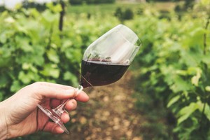 Philbrook Wine Club: The Garden Pour