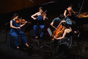 Free Afternoon Chamber Music Concert