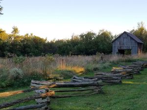 History Hike at Infirmary Mound