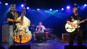 Hillbilly Hellcats Band