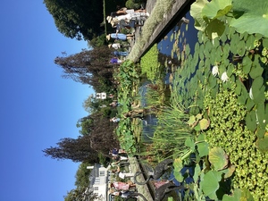Arboretum Tour: Oakwood