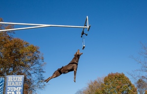 DockDogs at The Wharf