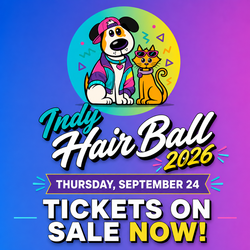Indy HAIR Ball
