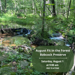 Fit in the Forest August