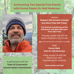 Forest Walk with Dr. Neil Pederson