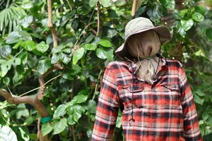 Scarecrow Trail at the Botanical Gardens