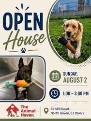 The Animal Haven Open House