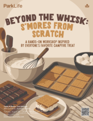 Beyond the Whisk: S'mores from Scratch