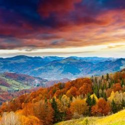 Savoring Fall: Autumn Flavors of Spain Seasonal Cooking Class