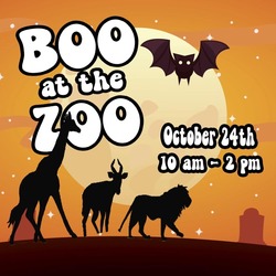 Boo at the Zoo 2026