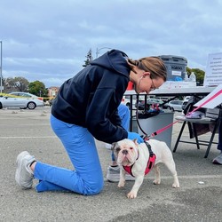 Joybound People & Pets Free Pet Vaccine and Microchip Clinic 