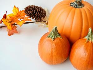 Cork Pumpkin Craft
