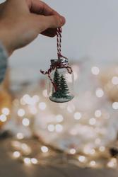 Snow Globe Craft