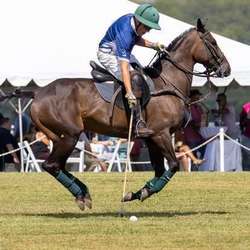 Lehigh Valley Polo benefitting Equi-librium