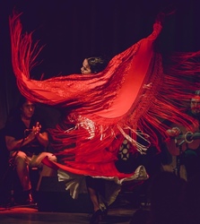 Casa Flamenca Summer Tablao Season Continues!