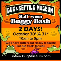 Buggy Bash at the Bremerton Bug & Reptile Museum: From 10 a.m. to 5 p.m. on Oct. 30 and Oct. 31st