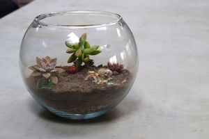 Sip and Plant: Spooky Terrariums at the Botanical Gardens