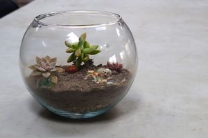 Sip and Plant: Spooky Terrariums at the Botanical Gardens