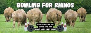 Bowling for Rhinos