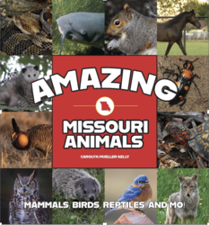 Book signing for "Amazing Missouri Animals" set for Tuesday, August 11 at Betty's Books