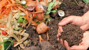 Info Session: C3's Food Sustainability Leadership Training Fall 2026