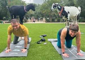 Goat Yoga at Hyatt Regency Hill Country Resort and Villas